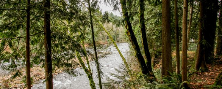 Brightwood, OR